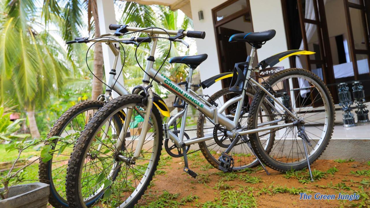 The Green Jungle Dambulla Exterior foto